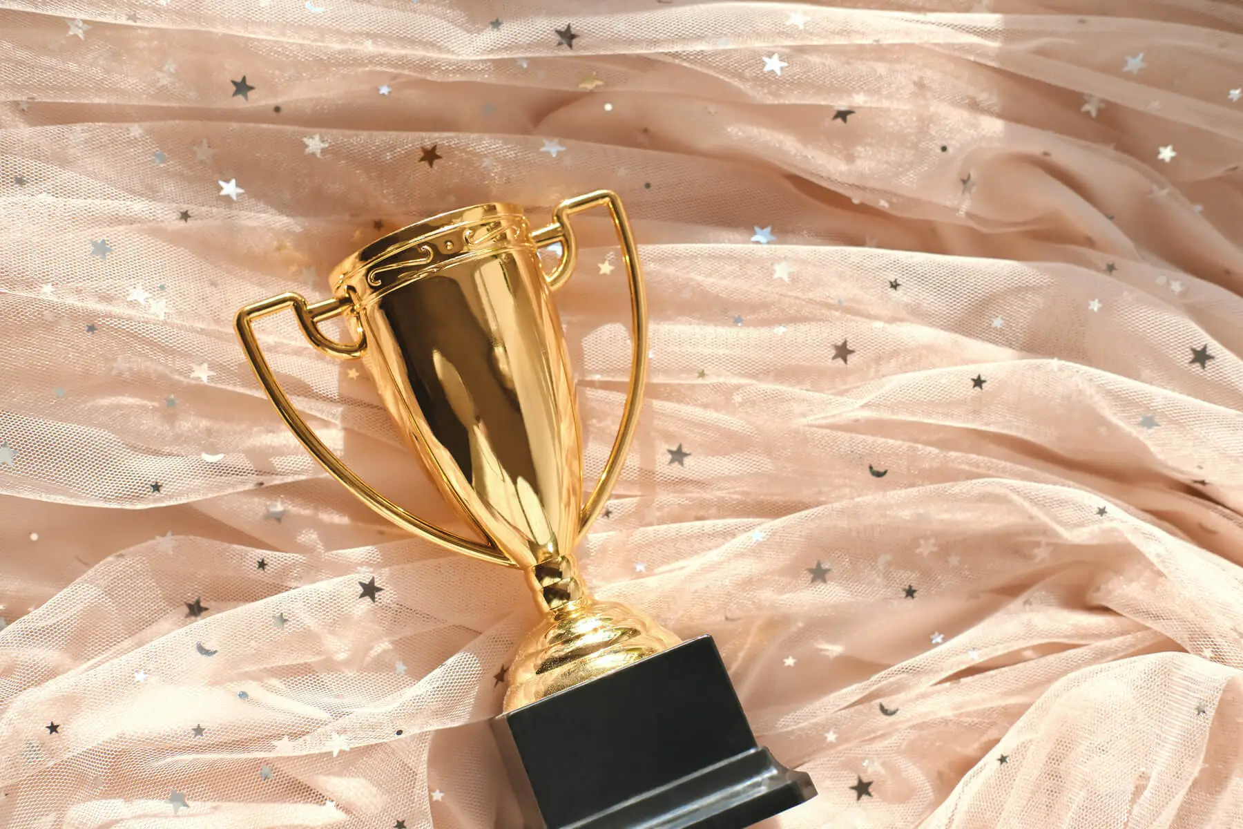 female winner first place tulle festive dress an 2026 01 07 00 19 30 utc.jpg